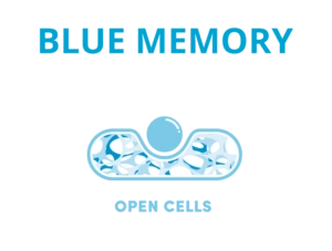 pianka-blu-memory-znak-transparent-300x227